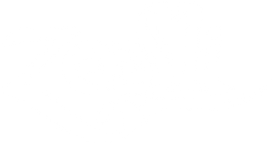 Zoolli